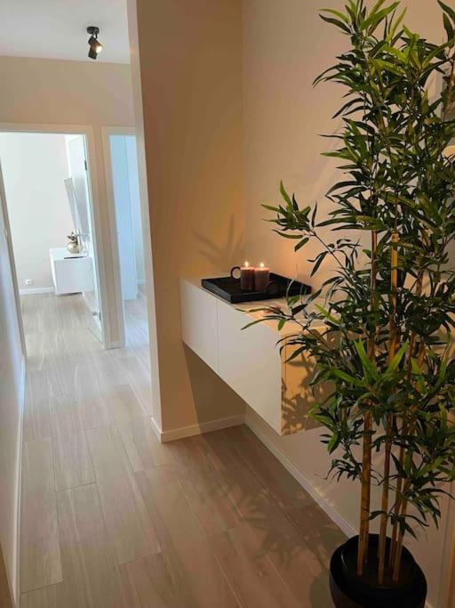 Appartement Proche De Toutes Commodites *